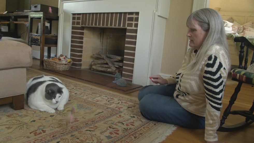 Patches the 40-pound cat and his new owner Kay Ford are on the weight loss journey together.