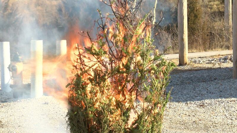 A Holiday tree fire can ignite and spread quickly.