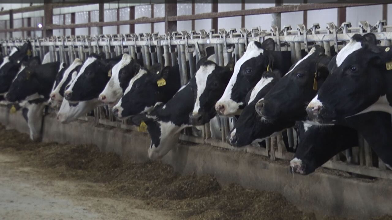 SMALL TOWNS: Wiese Brothers Farms in Greenleaf - Vimarsana News