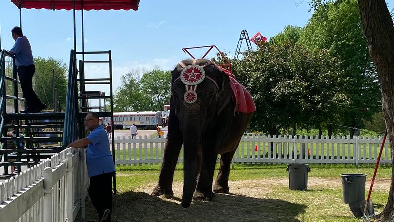 For the first time in five years, the Ringling Bros. and Barnum & Bailey will return to...