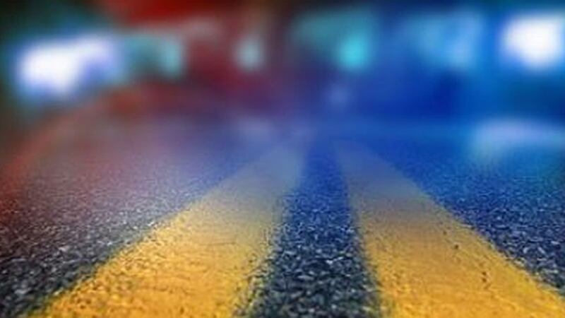 A pedestrian was killed after a semi driver says he lunged in front of the truck on Highway 29