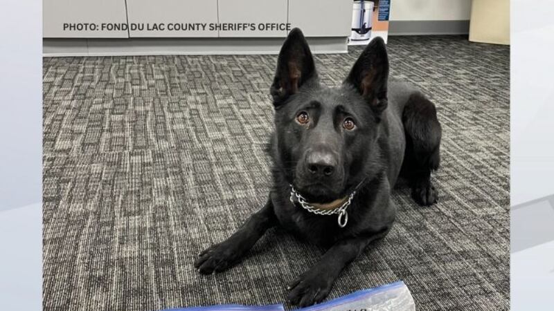 Fond du Lac County Sheriff's K9 Rip (file image)